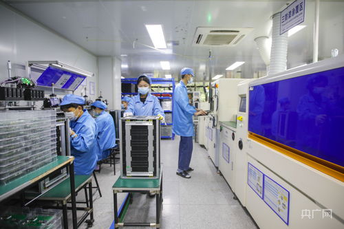 福州新能源产业加速技术研发，构建绿色经济新引擎