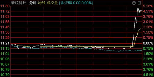 北交所震荡调整 逾百股下挫，技术开发板块承压——以n鸿智超14%领跌为例
