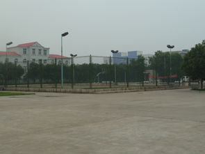 焦作高新技术创业服务中心 构建全方位技术服务平台，赋能企业创新成长