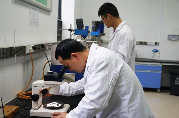 绵竹 抢占新质生产力“新赛道”，以技术开发驱动高质量发展加速度